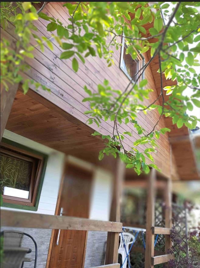 Lodge Pod Szklana Wydma Chłopy
